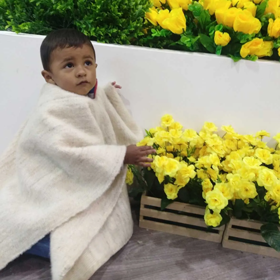Niño con ruana blanca de lana entre flores amarillas